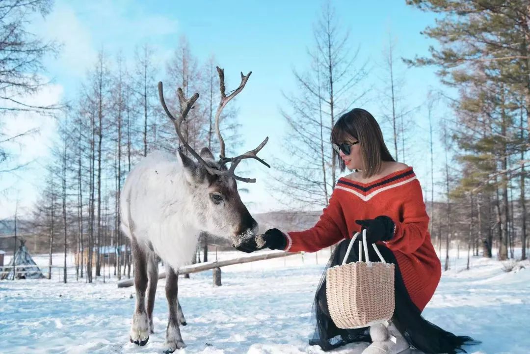 |即将开启银冬模式,今年就去这些地方看雪吧!