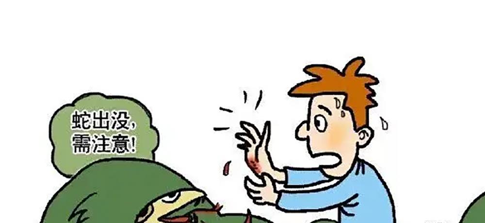 雄黄不可以防蛇,你知道吗?自然界中,蛇又十分害怕什么呢?
