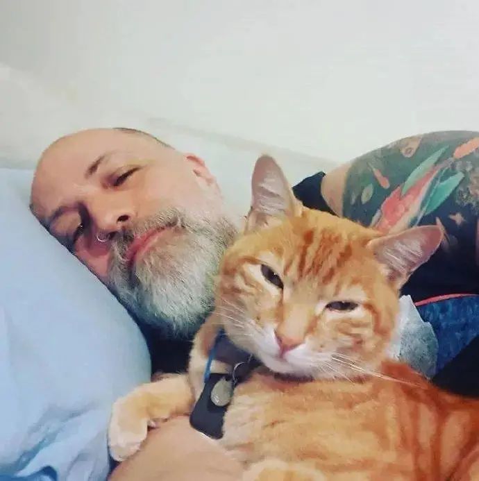 有猫天天陪着睡觉，但男子表示：这不是我的猫！
