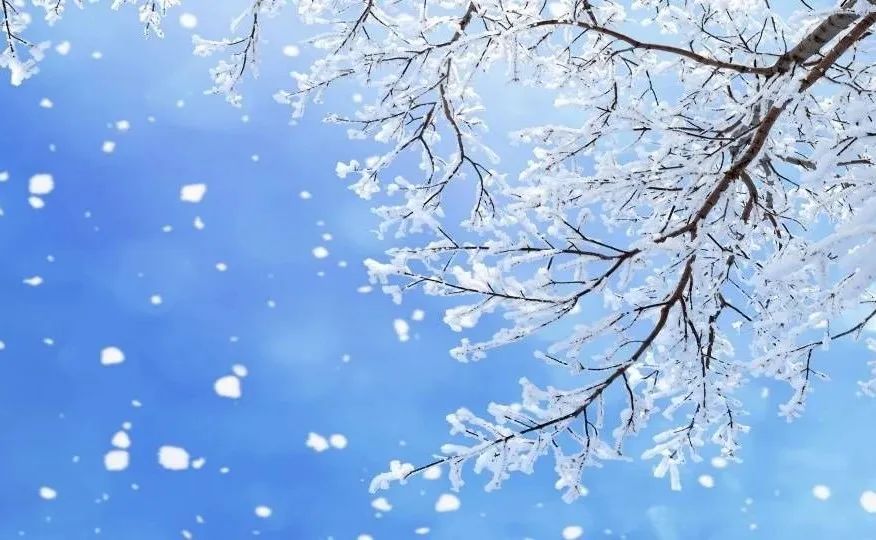 小雪至●冬尹始
