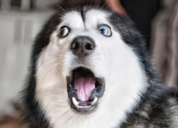 高圆圆|笑到肚子痛的穿帮镜头，刘亦菲荡秋千忍了，关晓彤的腿过分了吧