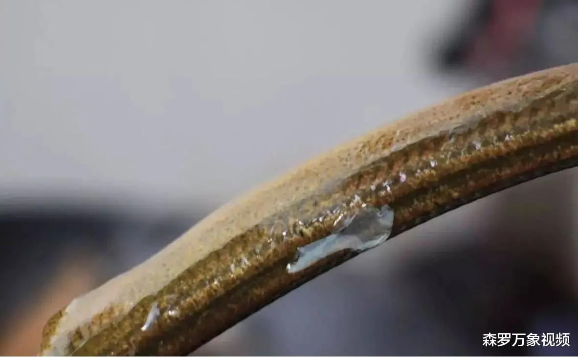蛇吃黄鳝有危险?黄鳝有多厉害,让蛇都“怕”它?科学解析其奥秘