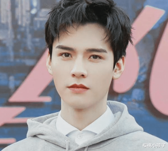 龚俊|成毅、龚俊、谭松韵、宋茜全都辞演?“刘诗诗”竟成了万人嫌体质!