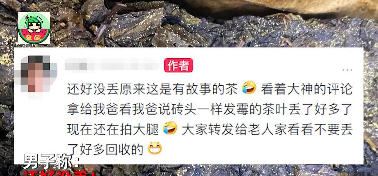 涨见识了!男子发现礼品茶发霉长菌,正欲丢弃被网友阻止:好东西