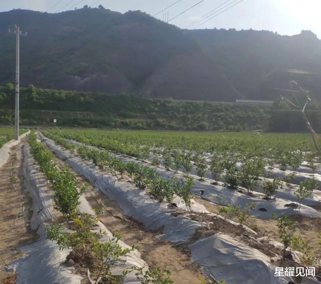 武夷山国家公园|美丽乡村游——朱阳雄关，大美河山