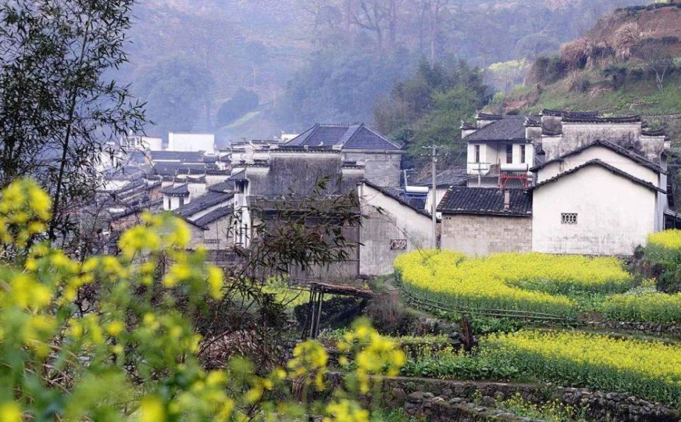 广州市|2022年农村老房要“大改革”？以后一律“这样”处理，争也没有用