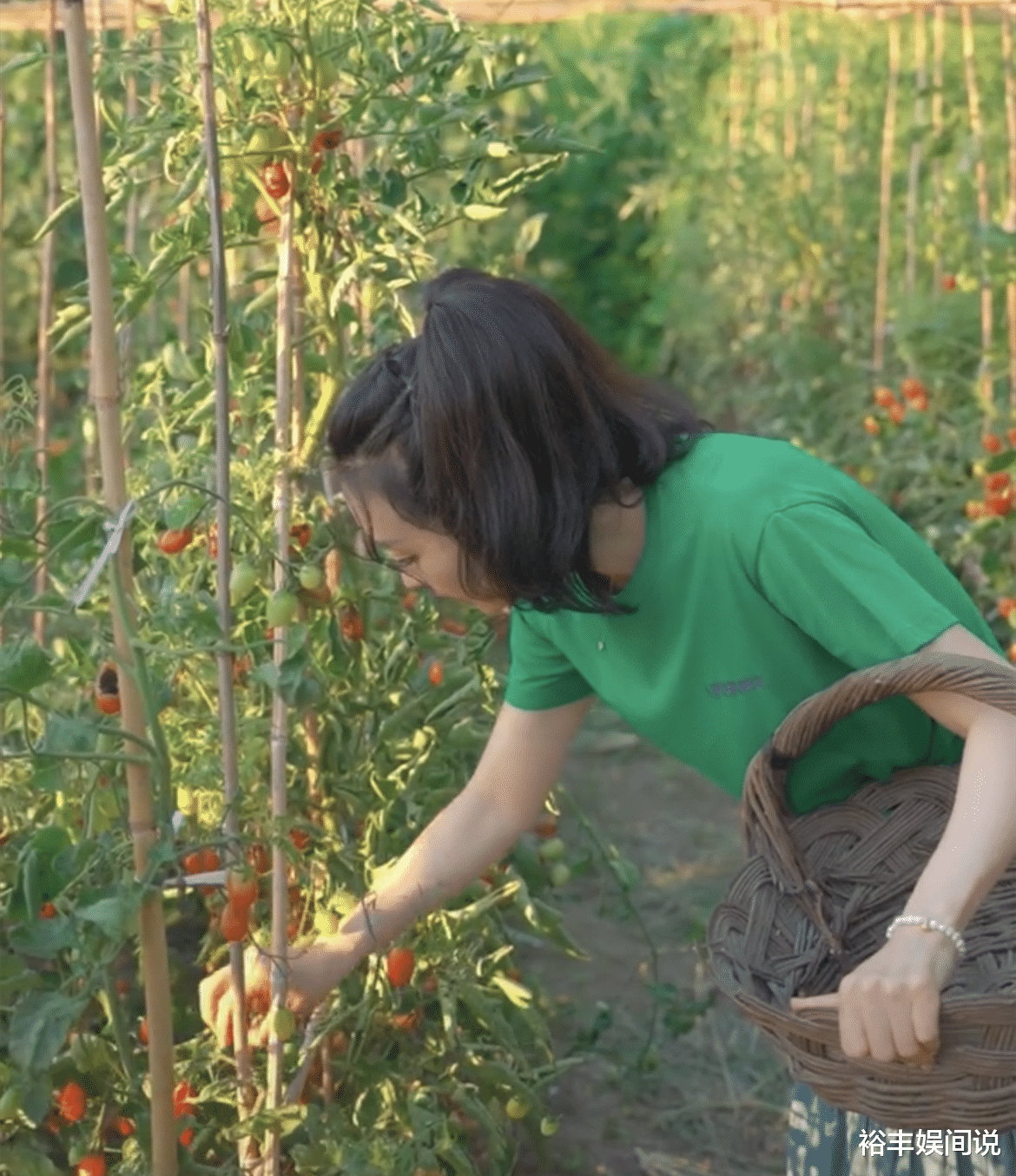 王艳|王艳北京郊区农场曝光！种满各种应季蔬菜，院子古朴雅致价值非凡