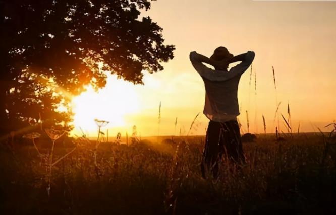 兄弟姐妹|人到中年才明白,兄弟姐妹的关系,是有因果的