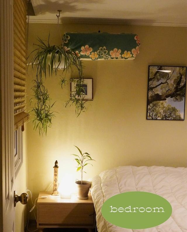 小夫妻晒出教科书式的小家,66五颜六色的墙面!丝毫不眨眼