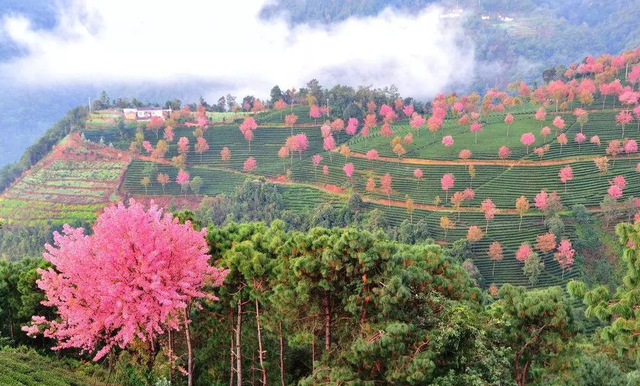 云南|云南有个低调的小众景区,风景却格外优美,门票免费却鲜少人知