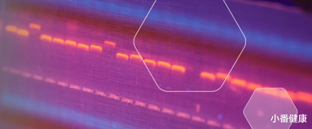 乙肝在研新药PBGENE-HBV，临床前研究，靶向cccDNA体内消除HBV