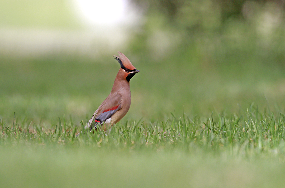 大山的视觉生活