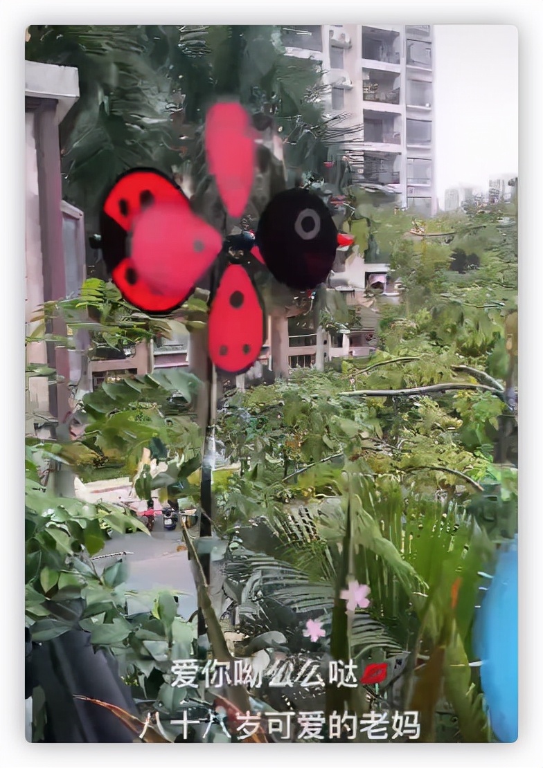 彭玉|彭玉低调庆89岁生日，鼻头上抹蛋糕打扮喜庆，众亲友现身场面热闹