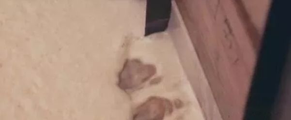 行业大忌！工业煮蜡对红木家具的危害