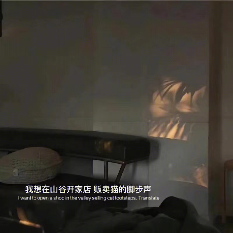 索尼|生活比较困惑的文案