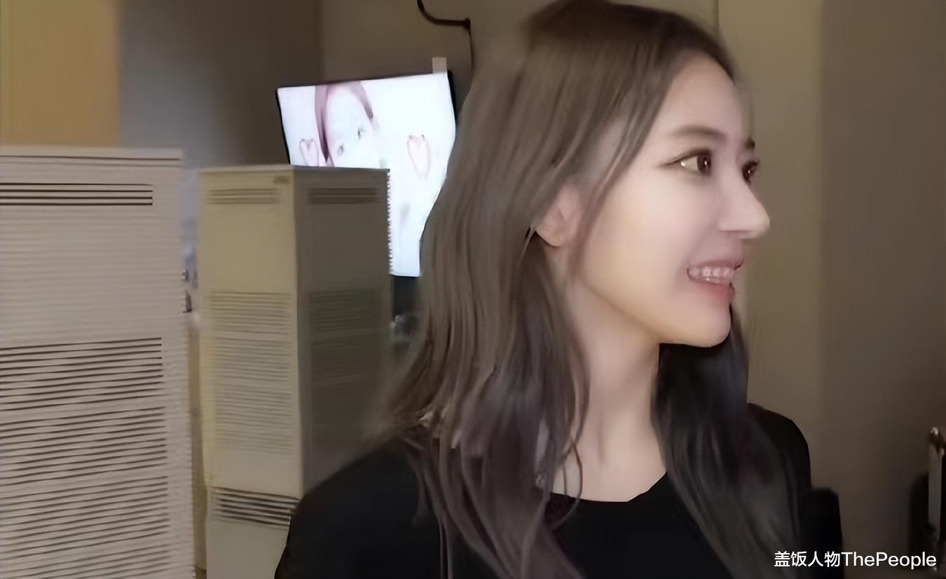 李庚希|一天之内6个瓜!96套房产被查封、龙凤胎儿子夭折,个个不简单