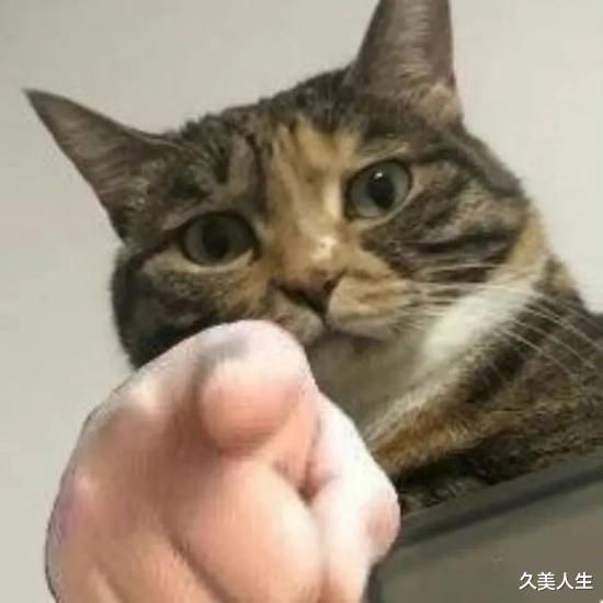 护理 连身体乳都开始“内卷”了 你还偷懒不做身体护理?