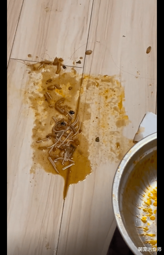 主人吃的螺蛳粉不小心撒在了狗狗身上，它拼命往垫子上蹭：好臭啊