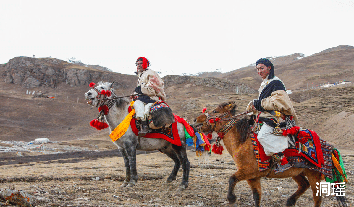 西藏|这个城市种活一棵树奖励25万？是真的，但现在还没人能做到