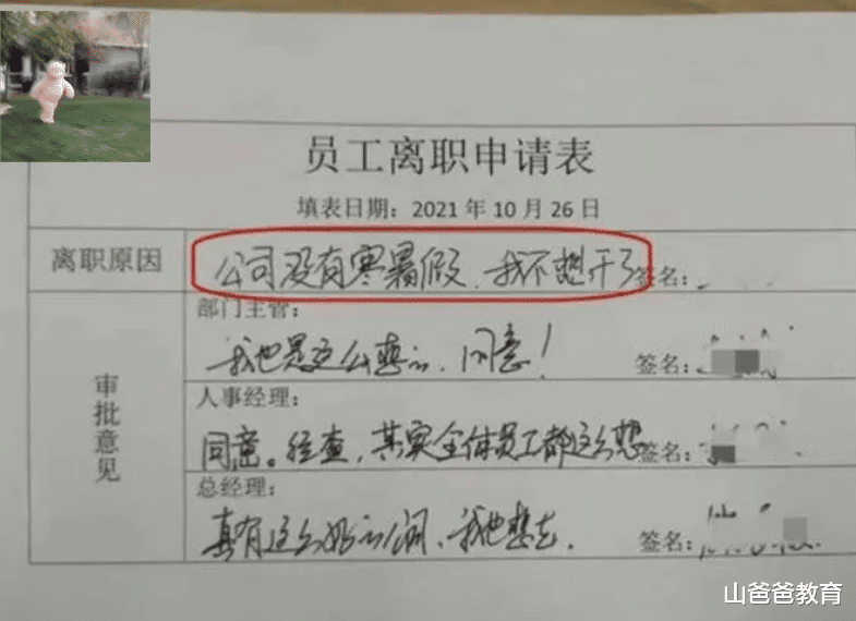 大学生|好歹骗我一下,00后大学生给出硬核请假理由,让老板有些怀疑人生