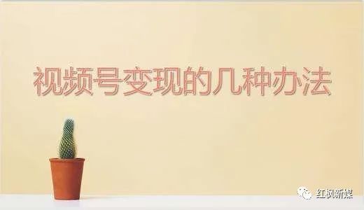 |视频号如何涨粉变现?送一你套详细运营攻略