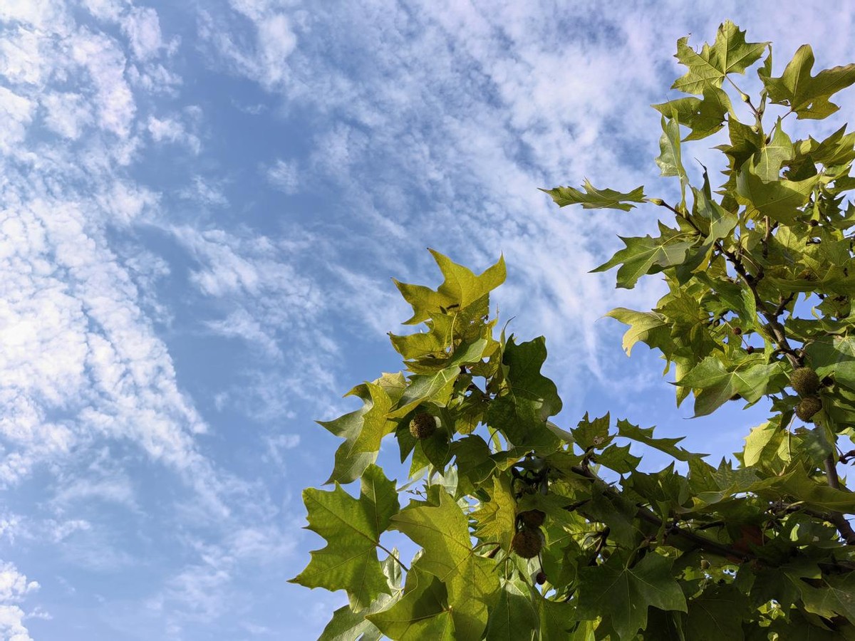 矿机|荣耀Play5 活力版评测:2000档以内的真香机