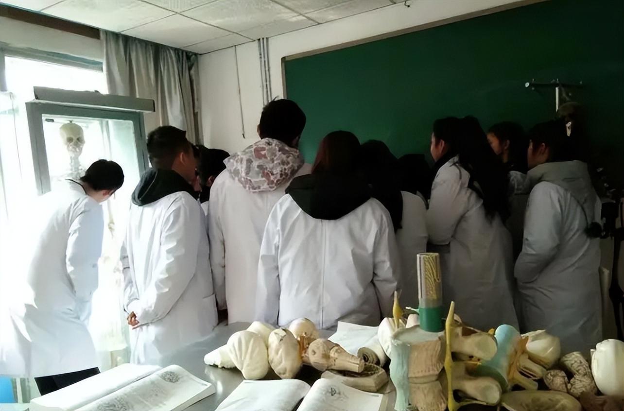 医学生|北大医学硕士求职被拒，面试10多次均被淘汰，医学生太难了