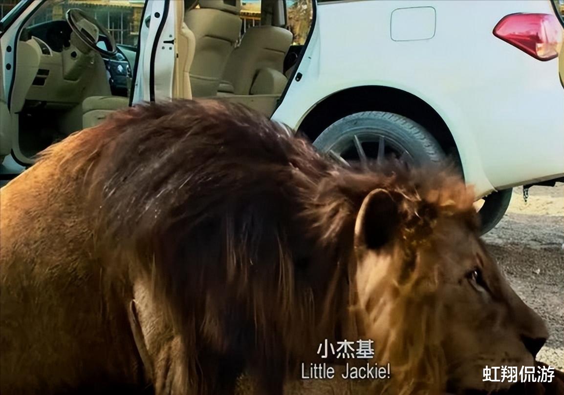 拉希德|迪拜最帅王子:美女表妹苦等他11年,为他生龙凤胎