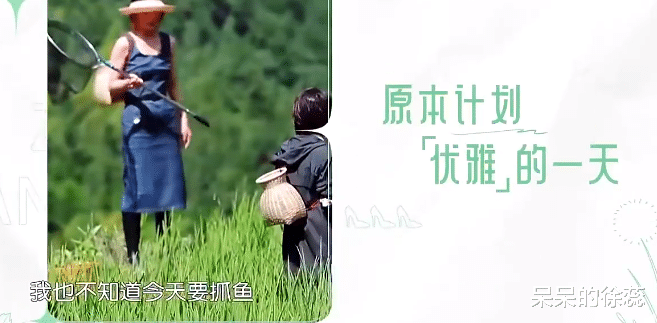 殷桃|同样是《中餐厅》女管家,把赵丽颖跟殷桃放一起,差别出来了!