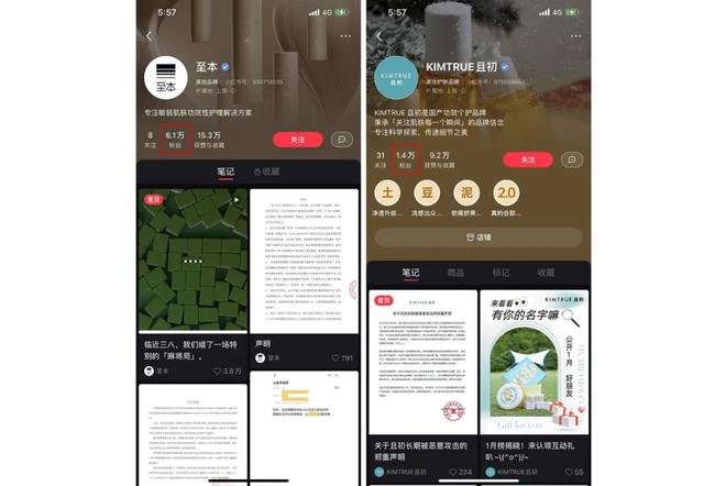 小红书 两大美妆国货，对战25元黑帖