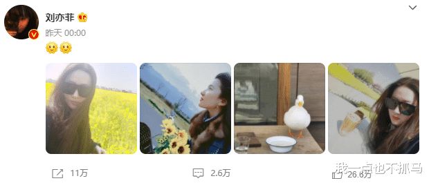 刘亦菲|又一位女星人设崩塌