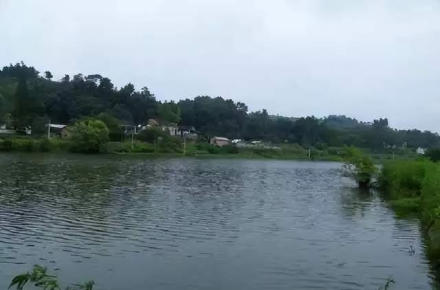 |一男子野钓被雷击,避雷方案详解,安全无虑