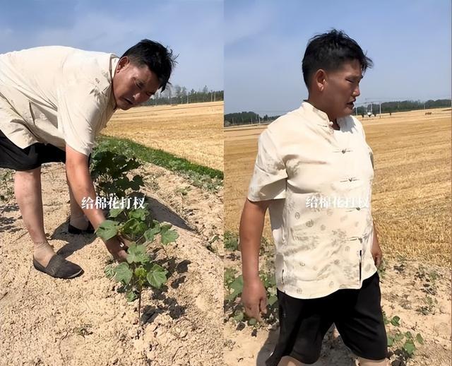 朱之文|大衣哥书房弹古筝秀才艺，挺着肚子推石磨磨玉米，脚蹬一双老布鞋