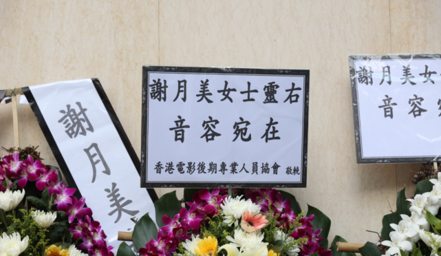 周星驰|TVB老戏骨谢月美因病去世,享年74岁,曾与周星驰做搭档