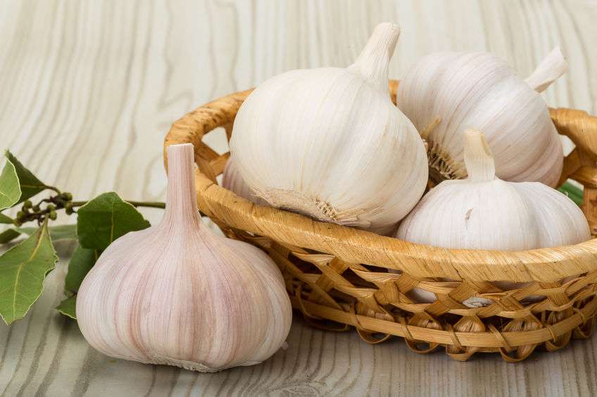 发芽的马铃薯有毒,那发芽的大蒜有毒?不妨看看文章的分析!