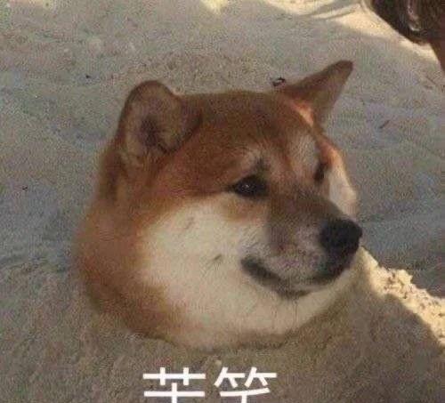 张庭|炸裂大瓜：张庭被曝逃税罚118亿，约等于14.75个金锁，8.7个薇娅