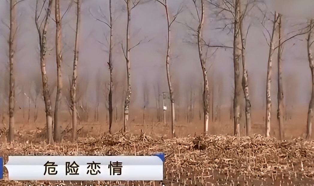 2017年，内蒙古女孩出门旅游，17天后，父亲在家里发现了她的尸体