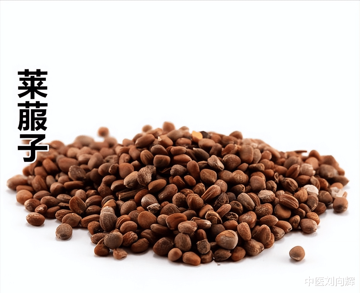 医生|几毛钱的萝卜籽是化痰能手,痰不多不要用