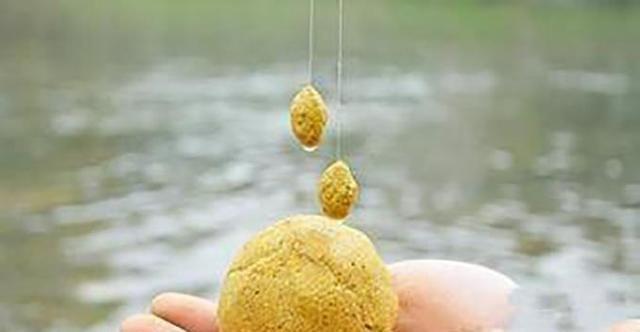 饵料|善变者，才能钓出一个好成绩，钓鱼用饵要怎么“变”？