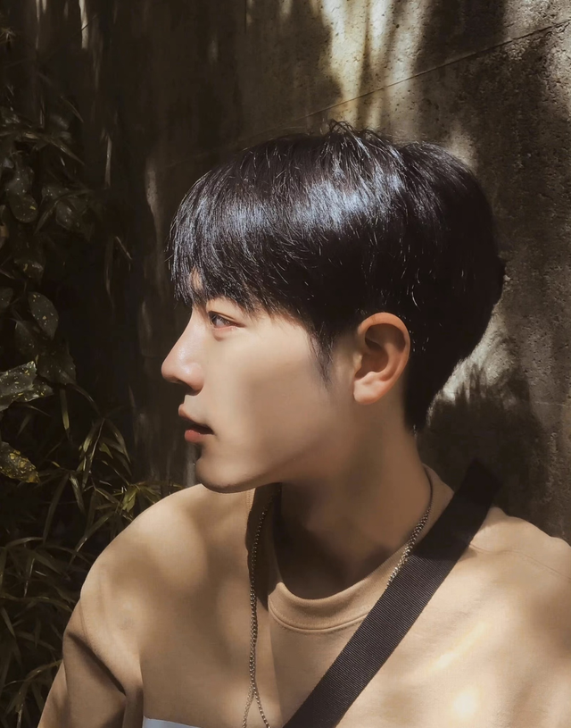 |小八卦,杨幂,沈腾马丽,张庭