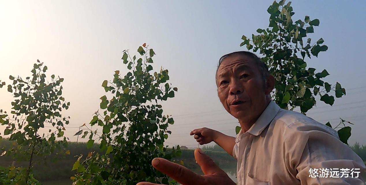 |为了几条便宜鱼,硬生生把自己送进了班房,钓鱼人的天堂遭破坏