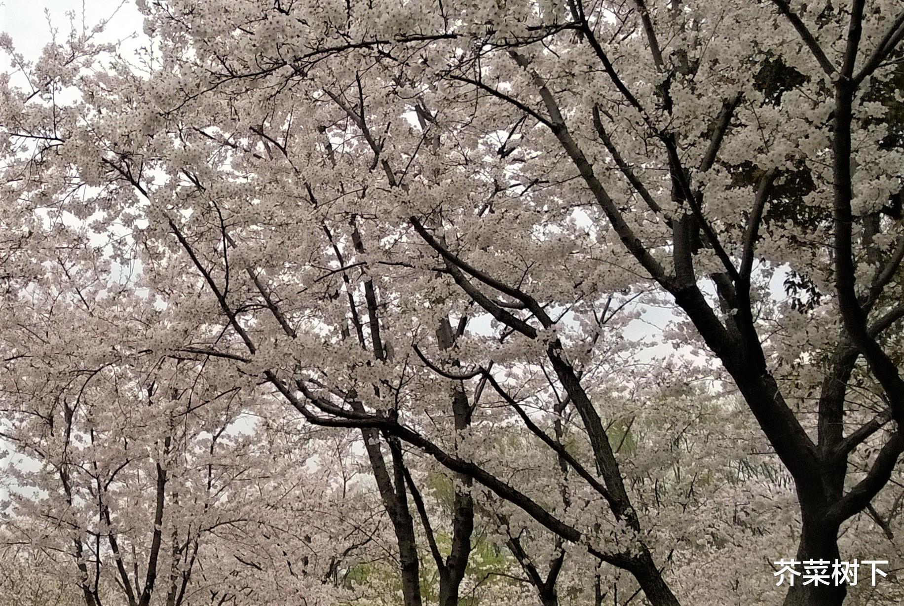 |既要直截了当，也要给出希望