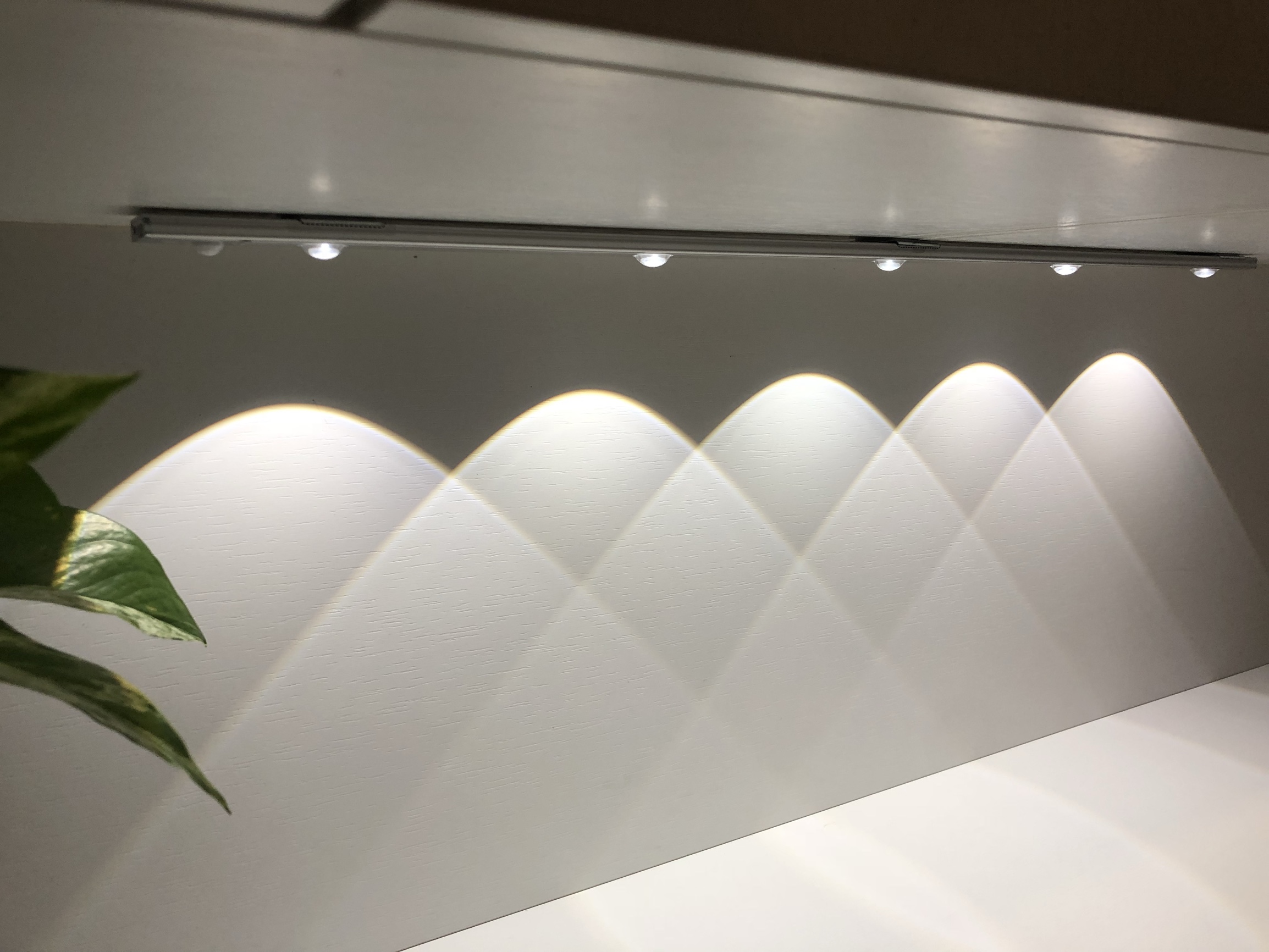 冲着“新奇”买的10款家居品,没想到还挺好用,直接被圈粉!