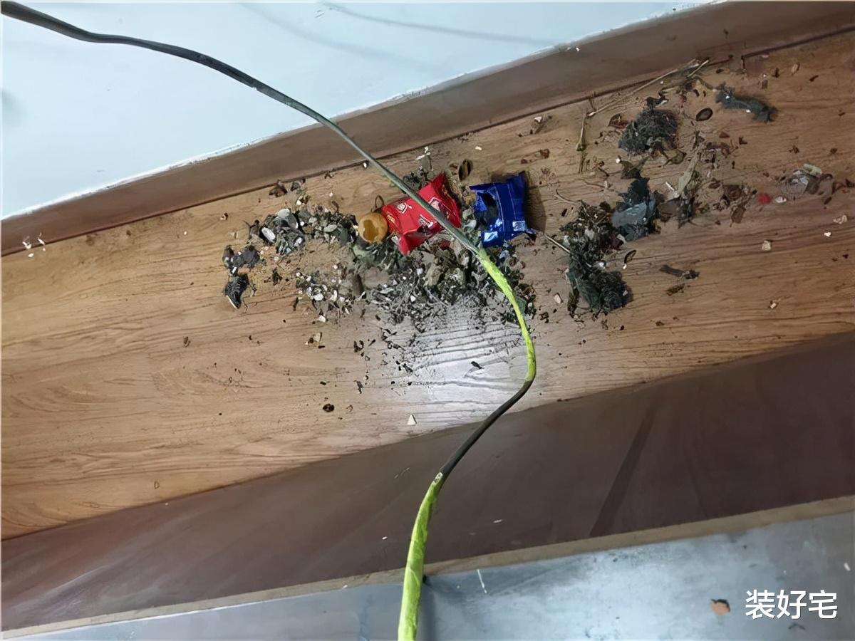 过来人总结的装修教训，不仅烧钱还添堵，让人有苦说不出！