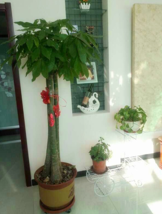 晒晒我的农村婚房,占地面积600平,厨房超级大,卧室谁见过?