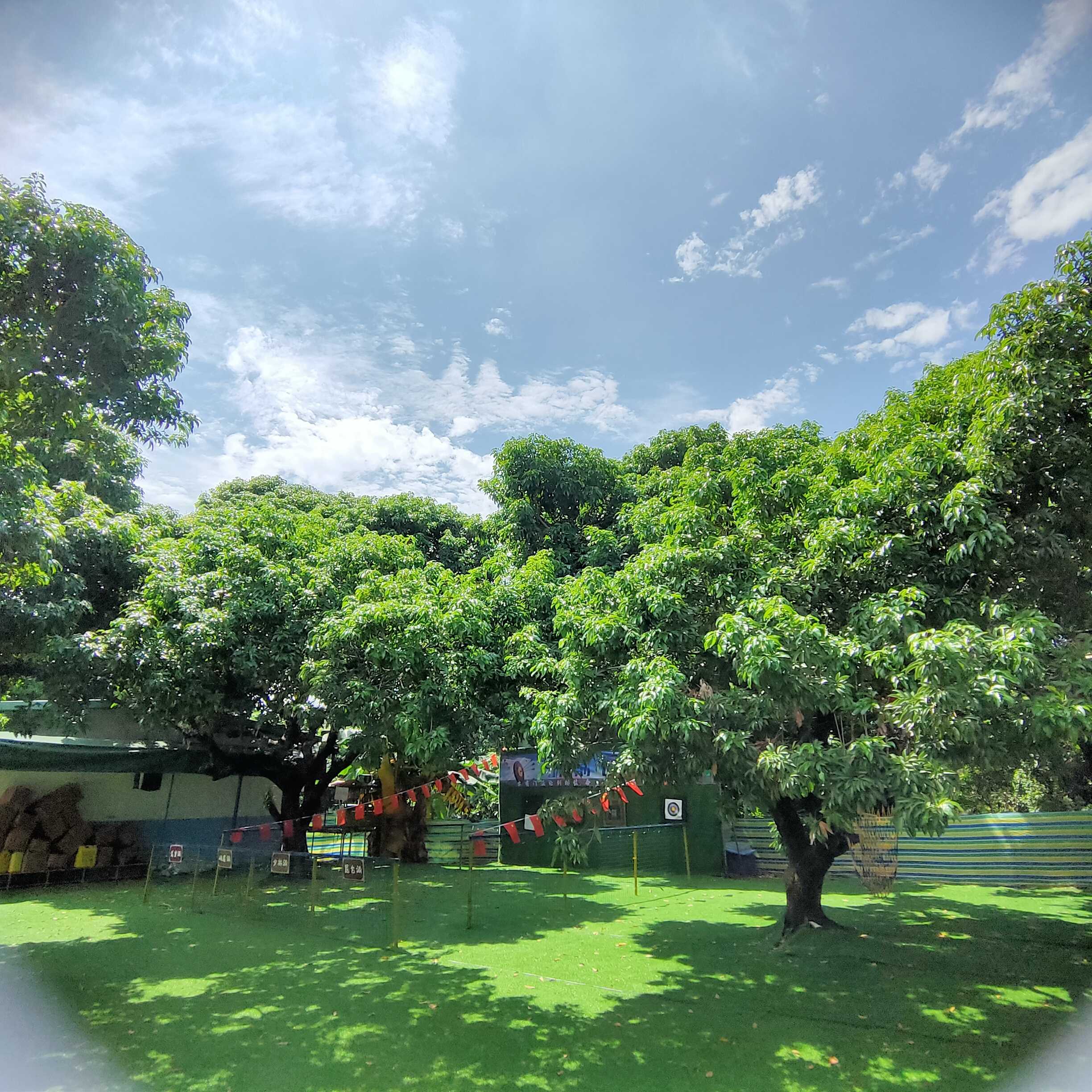 |秋季公司团建活动推荐，野炊烧烤，休闲玩乐，真人CS，钓鱼