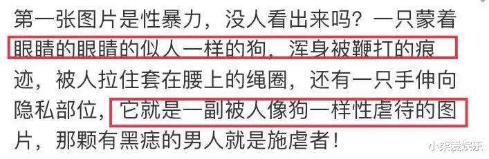 雪莉|又一个雪莉出现了？