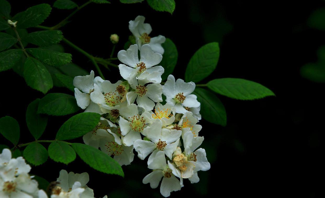 家政业|2023年初：坚持踏实努力的人，必将会时来运转