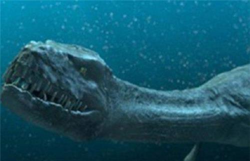 百年出现3次的水怪，却在鲸鱼肚子中发现，专家：原来它真的存在