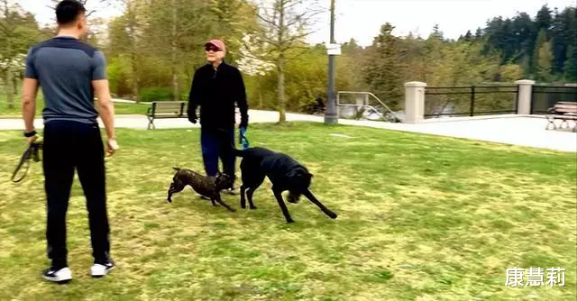 李连杰|年轻时帅气英俊，老了却丑得千奇百怪，这8位男星一个比一个可惜